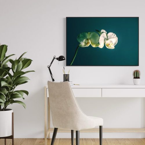 fotografia di un'orchidea su sfondo verde ambientata in un moderno ufficio