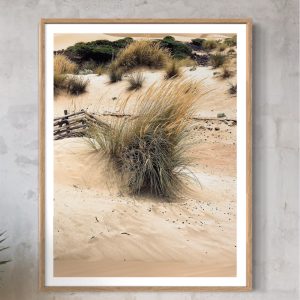 muru muru dune del sud cornice stampa incorniciata con ciuffi di graminacee spuntano da una duna in Sardegna