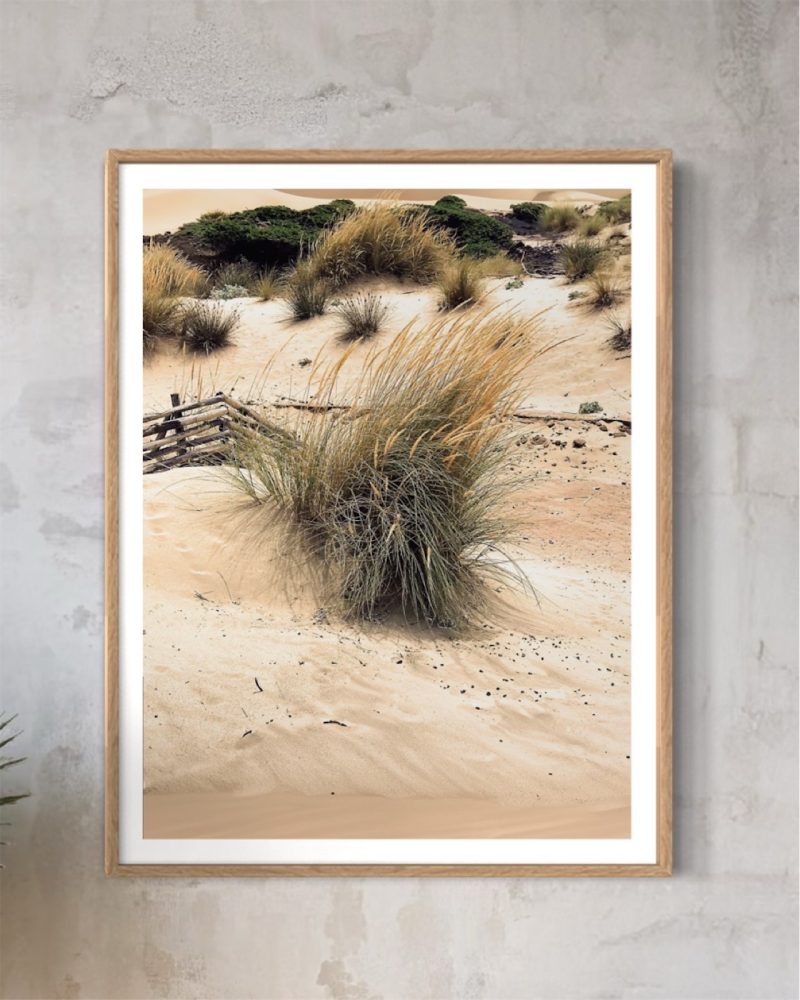muru muru dune del sud cornice stampa incorniciata con ciuffi di graminacee spuntano da una duna in Sardegna
