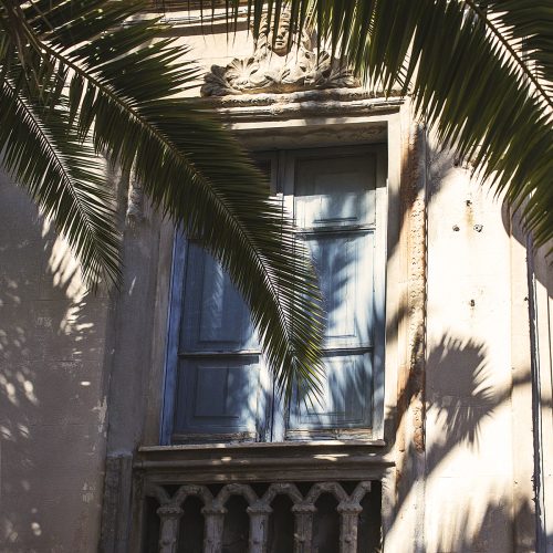 Luce e ombra si sulla facciata di un palazzetto antico, tra le fronde di una palma e un balcone in pietra scolpita
