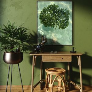 Un’alga candelabro nelle acque limpide della Sardegna, sospesa in uno spazio neutro che ne esalta la forma leggera, il colore vivo e la danza silenziosa.