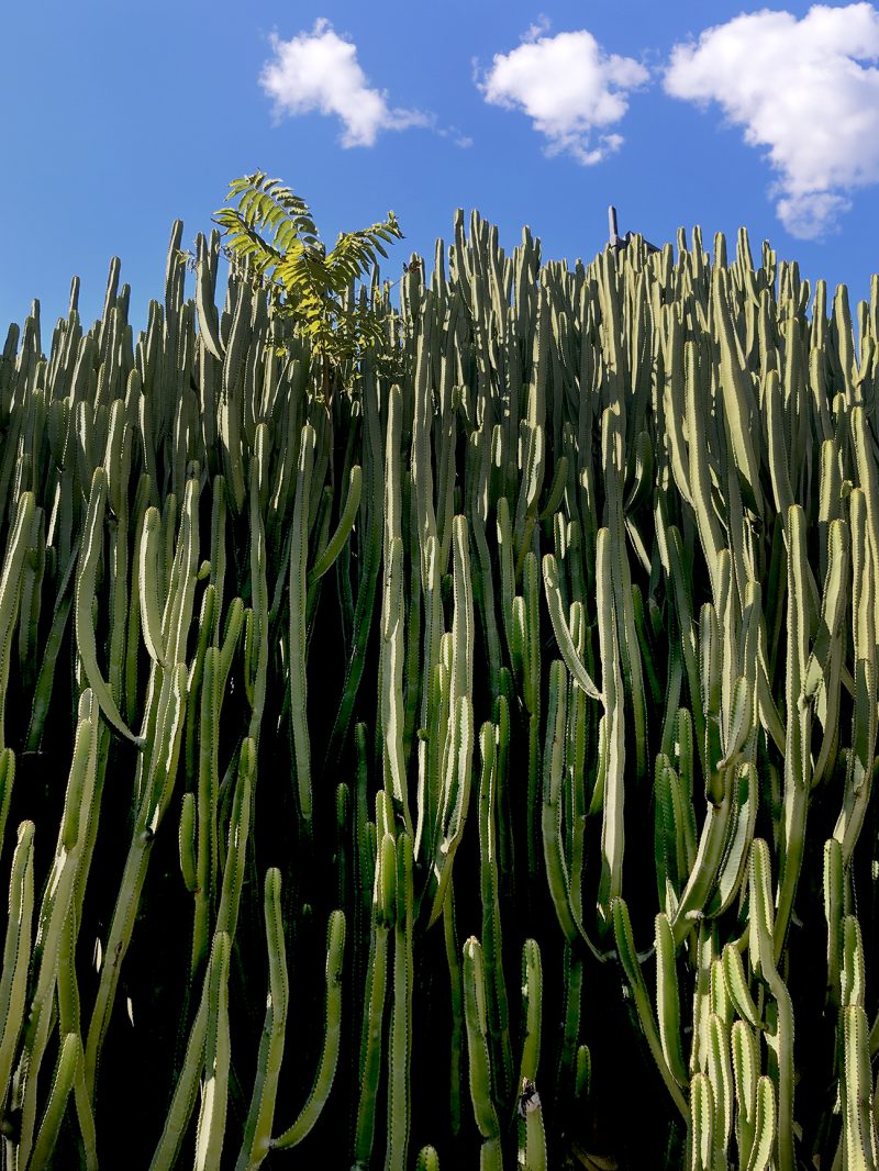 Contro il cielo