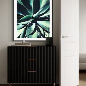 Agave