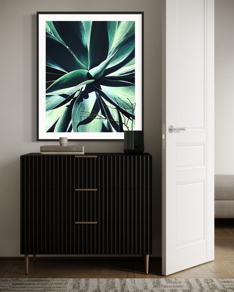 Agave